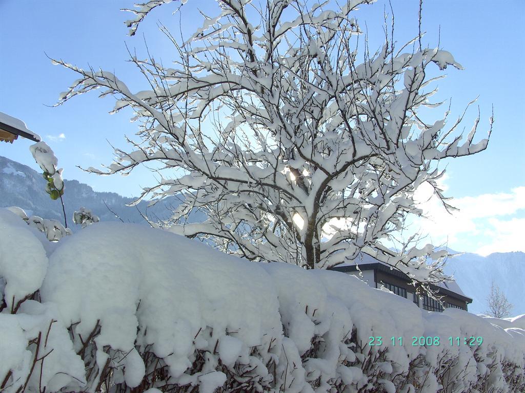feratel-Haus Nill Schwendau - Winter