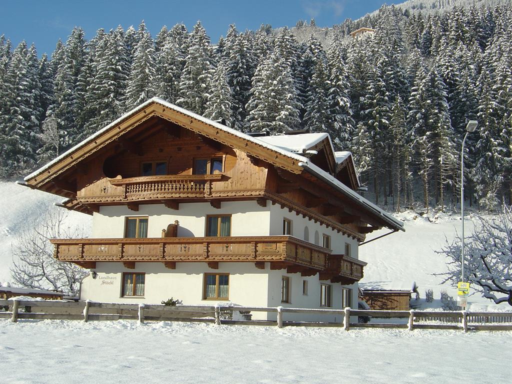 feratel-Landhaus Stöckl - Landhaus Stöckl - Winter 1