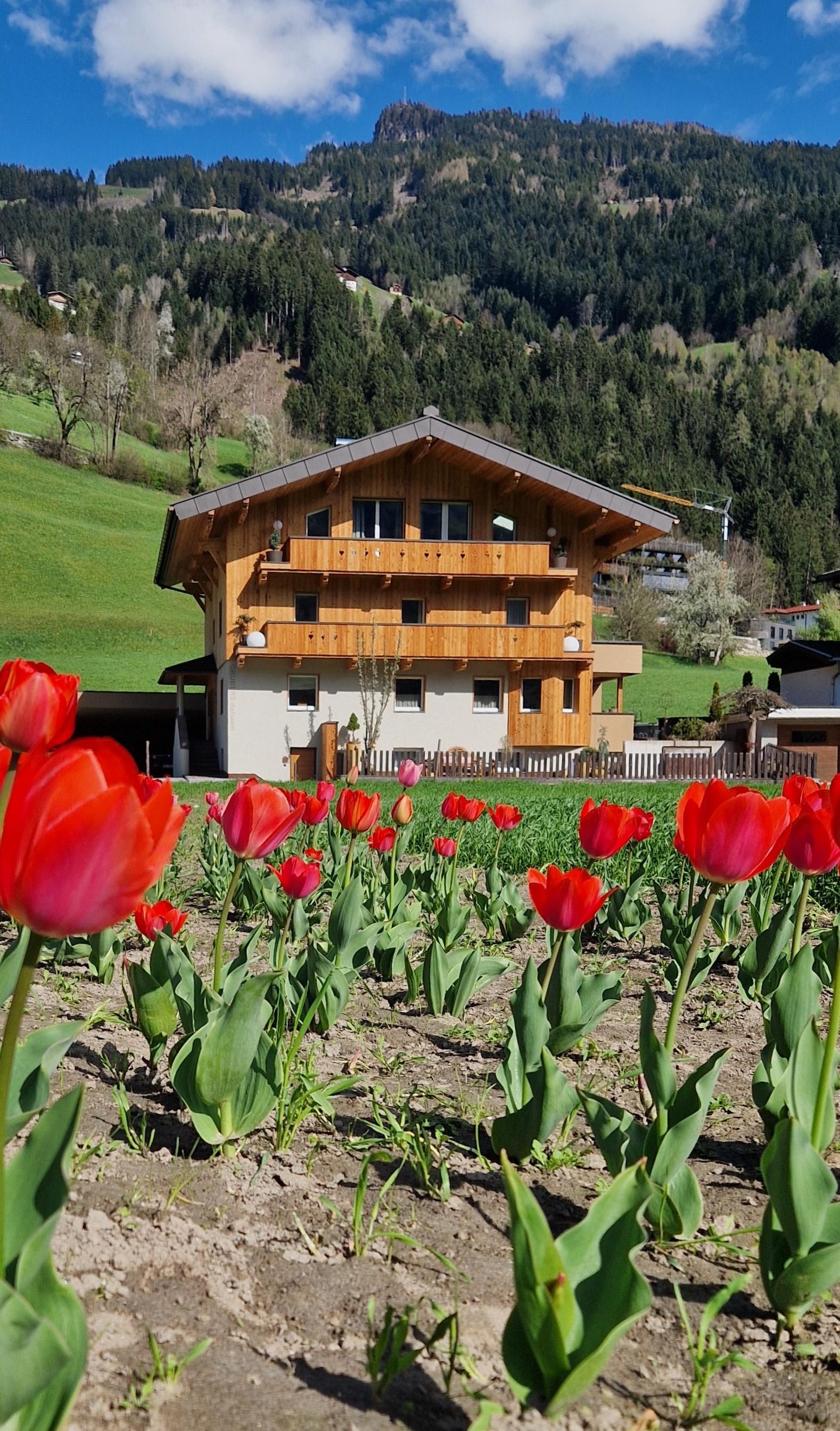 feratel-Gruber's Dahuam - Haus gerade