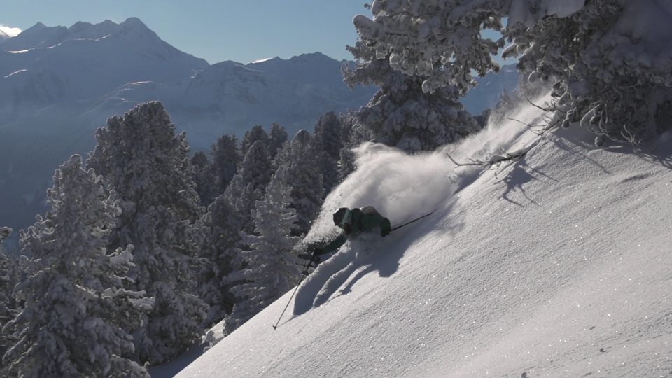 The picture shows a person skiing or snowboarding through deep snow among snow-covered trees. In the background, white, snow-covered mountains rise beneath a clear blue sky – an impressive winter landscape.
