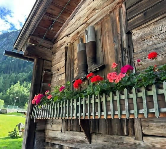mys-Tristenbachalm 1000m - Ginzling-Tristenbachalm Sommer