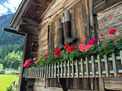 mys-Tristenbachalm 1.000m - Ginzling-Tristenbachalm Sommer