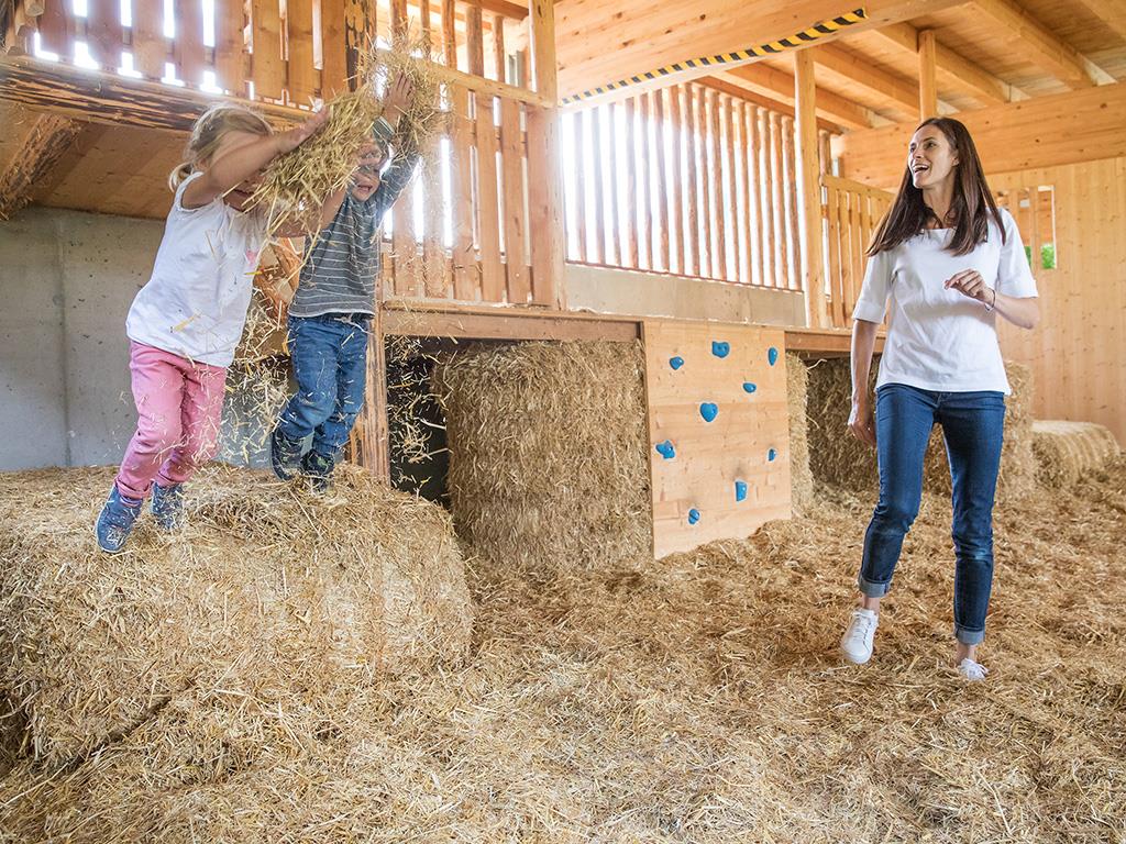 mys-SchauBauernhof der ErlebnisSennerei Zillertal-Media Upload