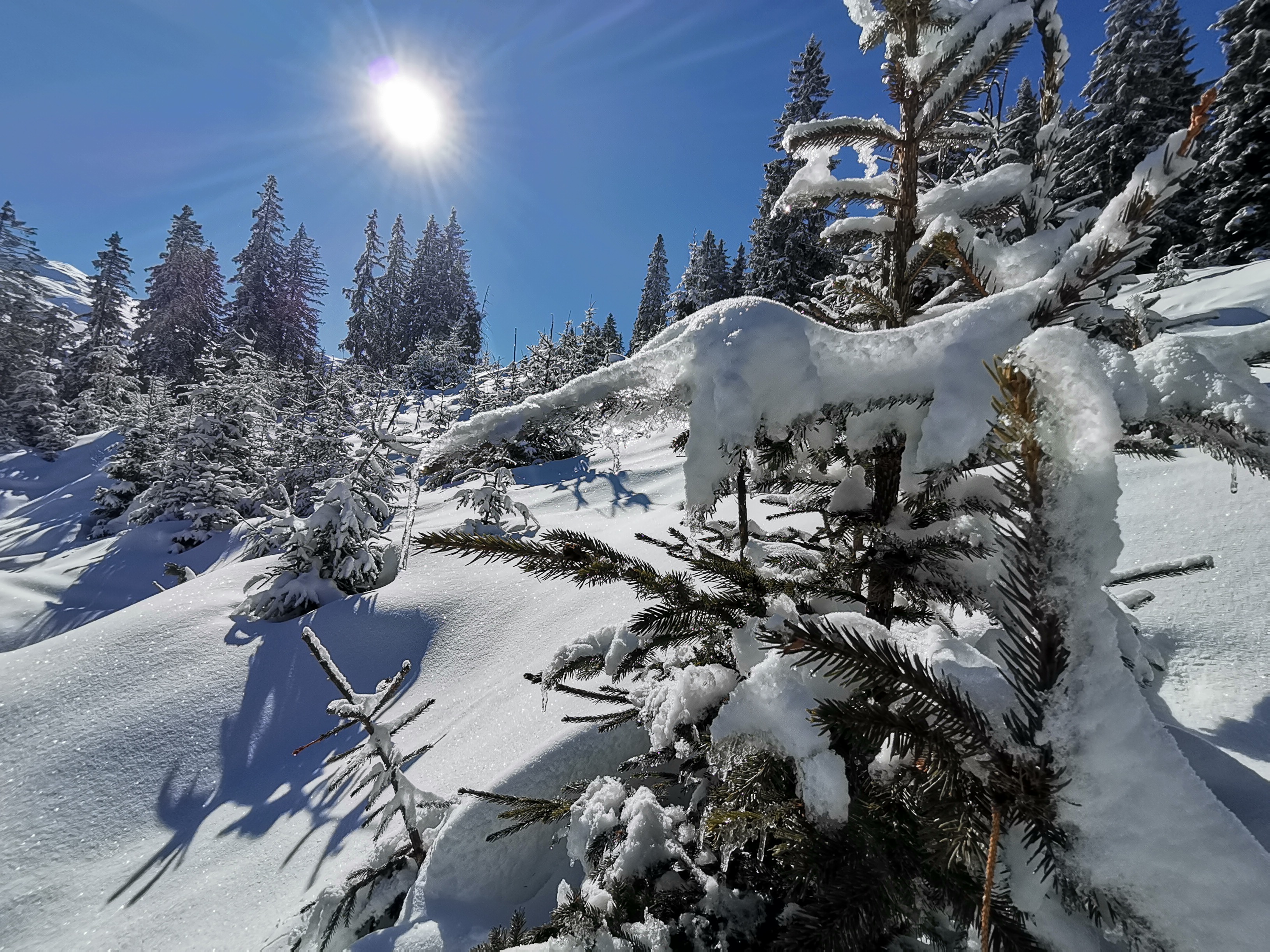 mys-Snowshoe Hike - Schönachtal - Pure Enjoyment-HF3
