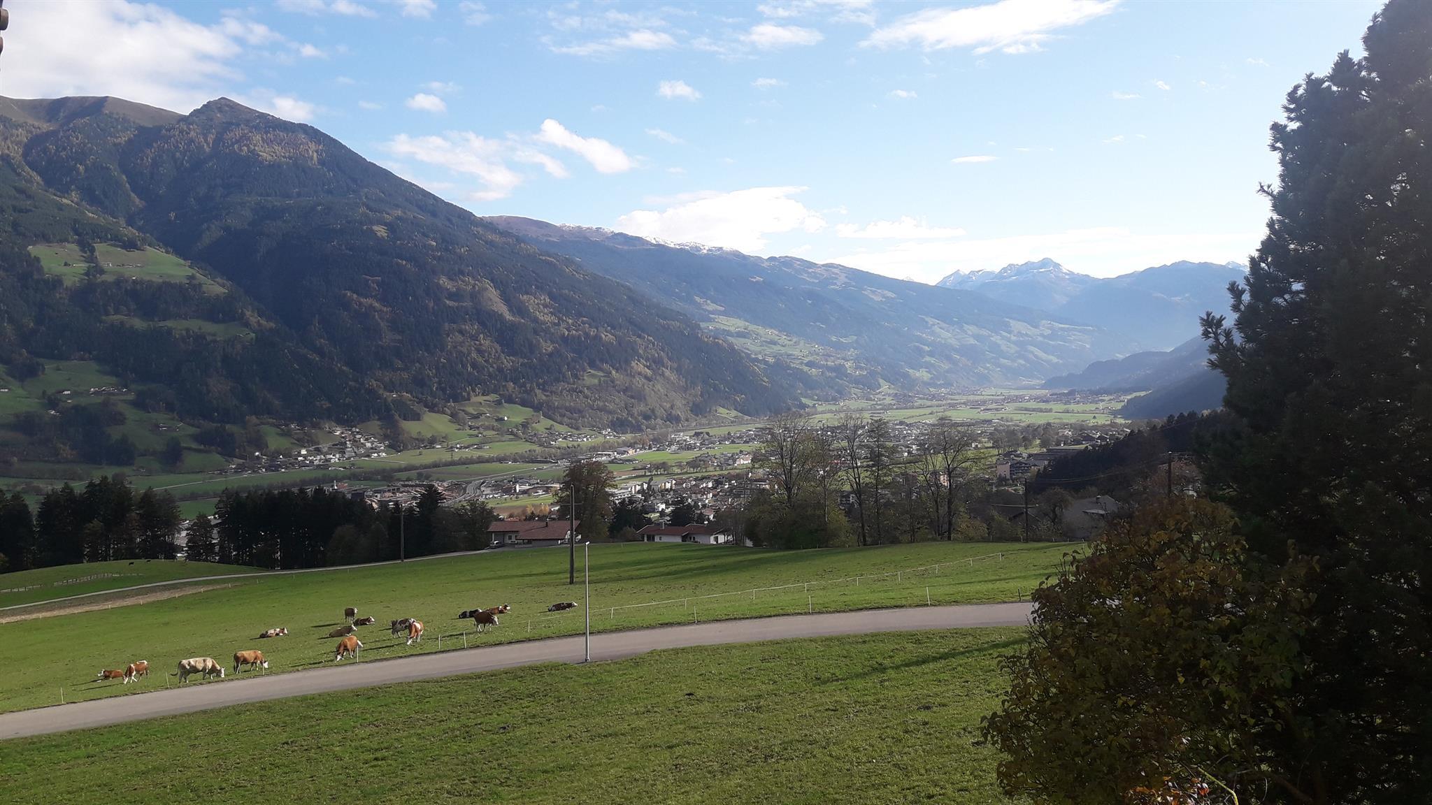 feratel-Ferienwohnung Birkenheim - Blick ins hintere Zillertal
