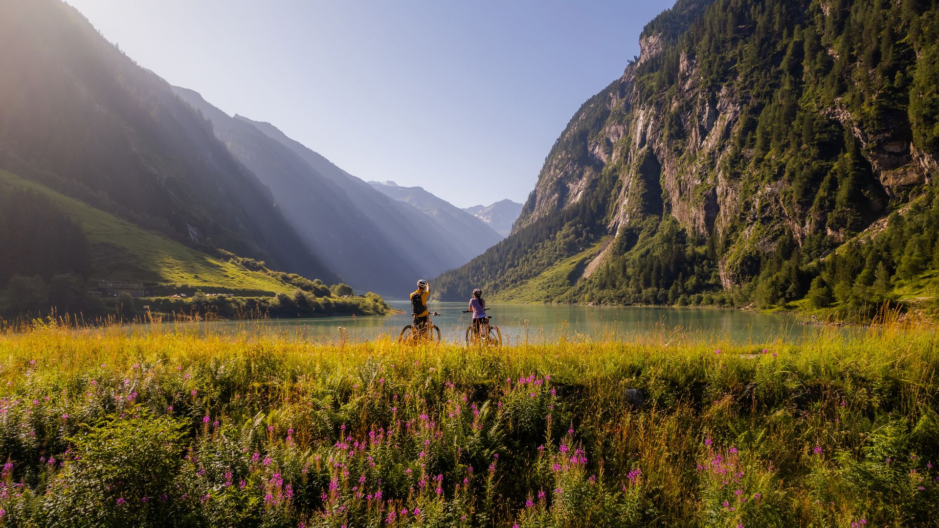 Sonnenaufgang im Naturparadies Stilluptal bei Mayrhofen im Zillertal: grüne Almwiese mit Blumen, zwei Wanderer auf Pfad, dahinter hohe Alpenberge und Felswände im weiten Tal.