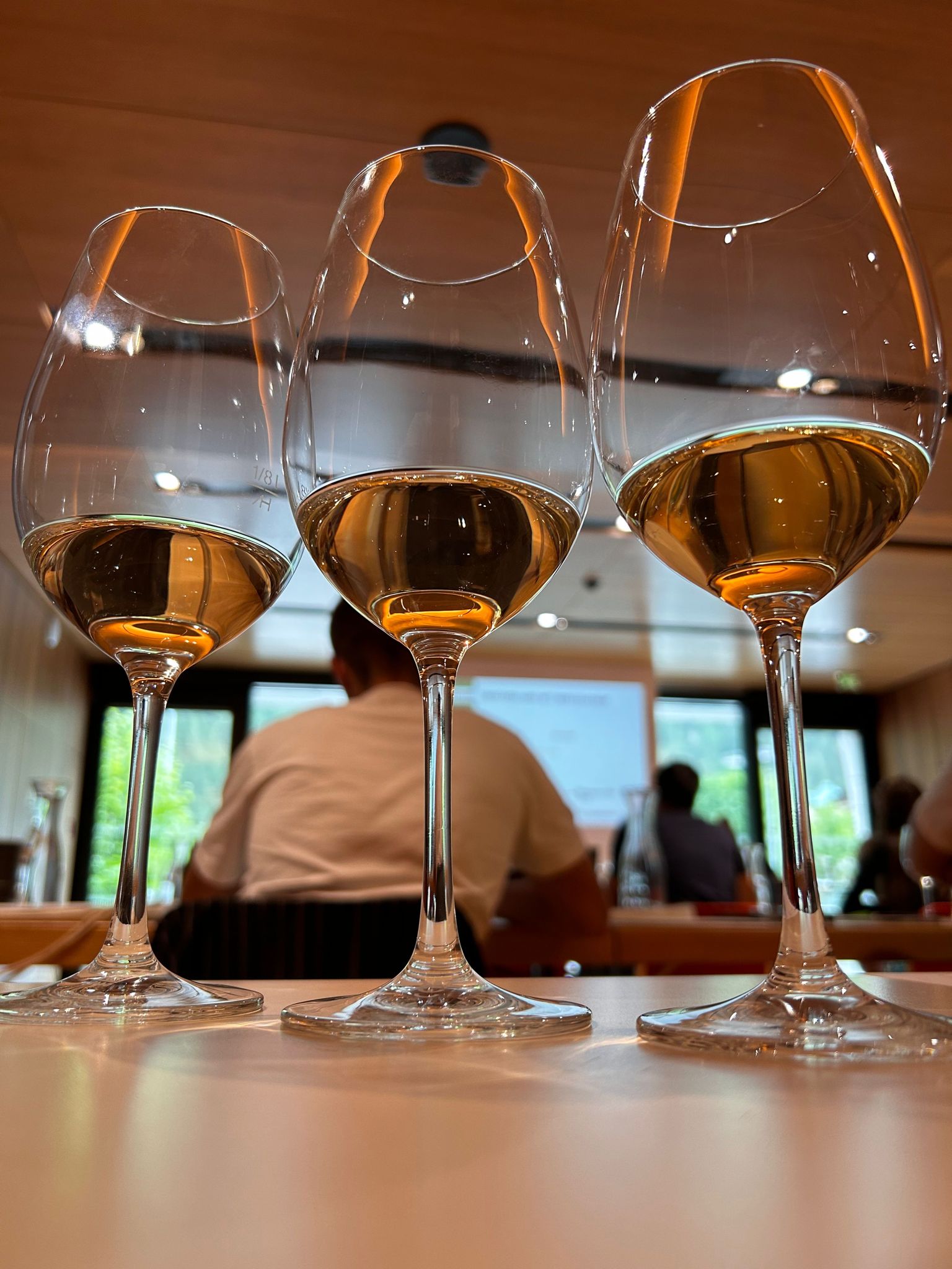 mys-Verkaufstraining - Vielfalt Wein Niederösterreich-Verkaufsschulung Wein