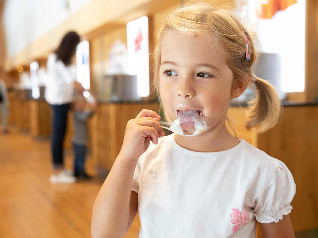 mys-Schau-Sennerei der Erlebnissennerei Zillertal-Schausennerei
