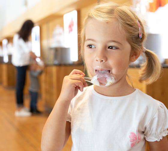 mys-SchauSennerei der ErlebnisSennerei Zillertal-Schausennerei
