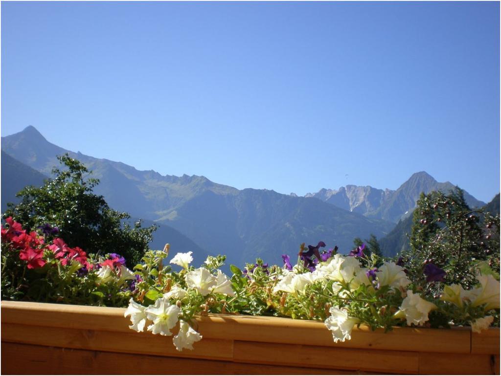 feratel-Pension Neuhaus - Ausblick Balkon