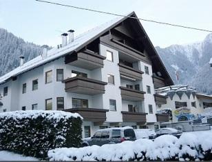 feratel-Alpencrysantheme Winter