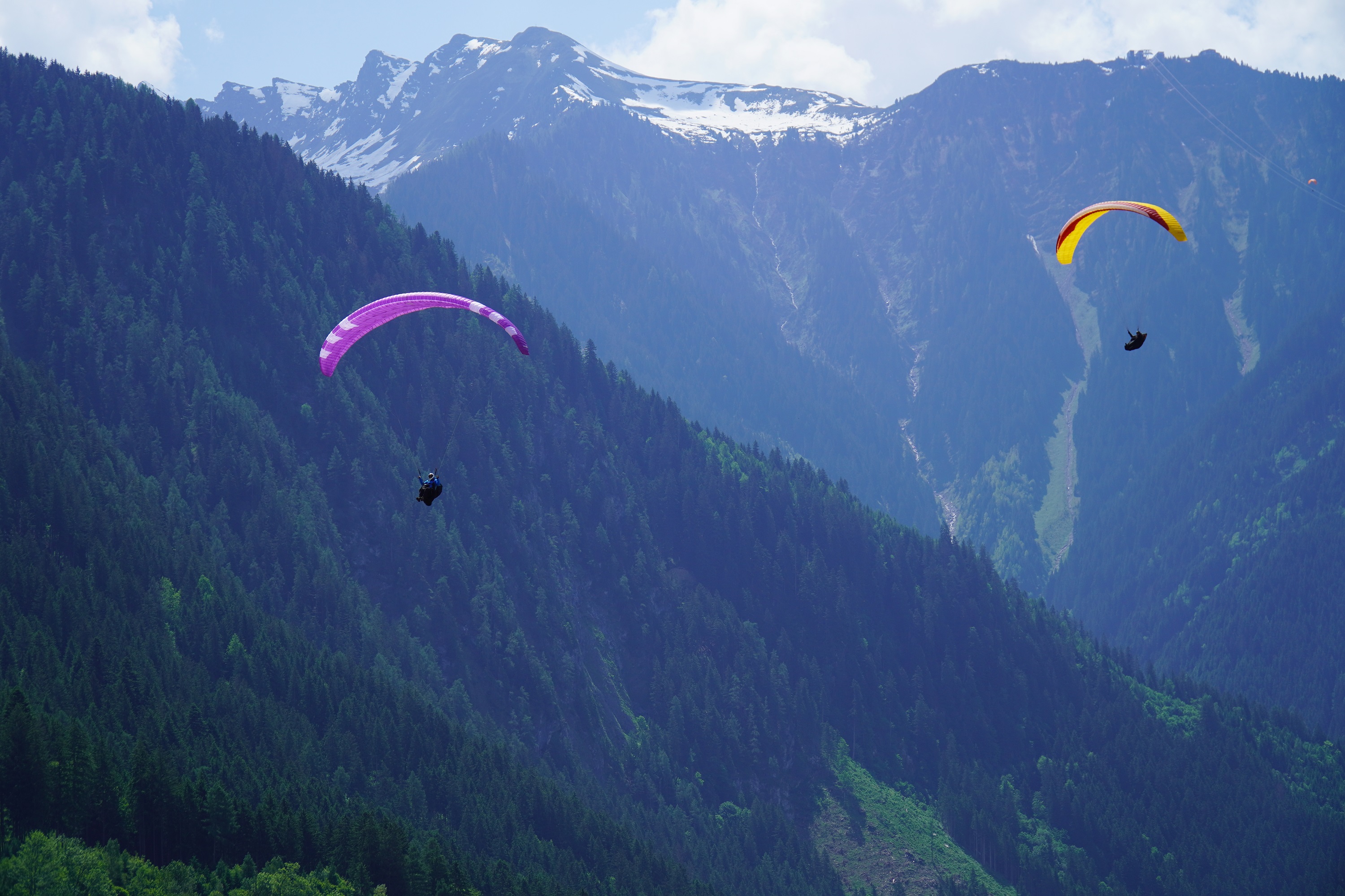 Flying High Testival