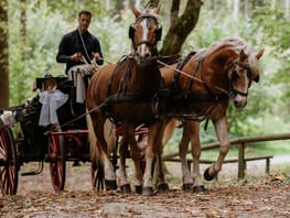 mys-Carriage ride with friends or the family with the Finkenberger Sattel-Kutschfahrt Finkenberger Sattel Carriage ride with friends or the family with the Finkenberger Sattel