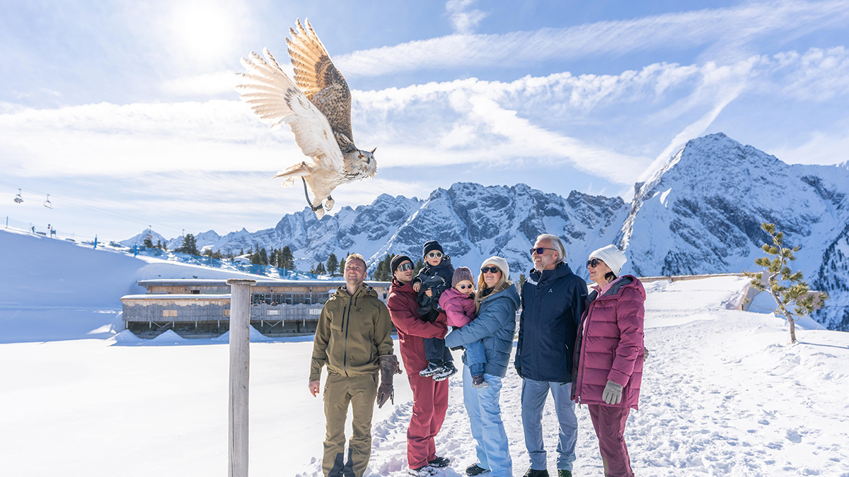 mbb_mountopolis_falkneroase_winter_1200x675px