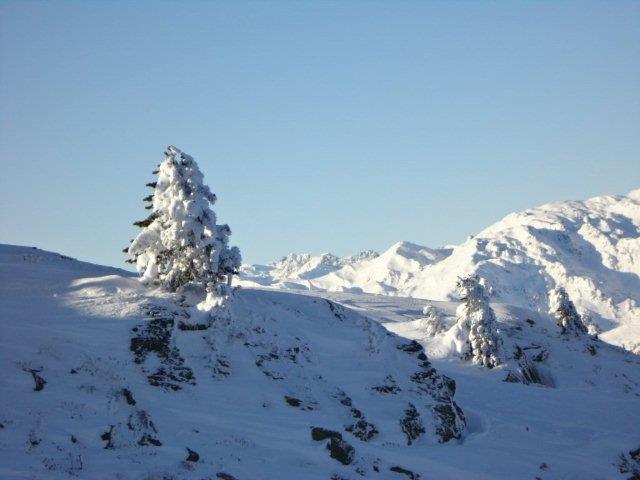 feratel-Apartment Kolb - Winter2