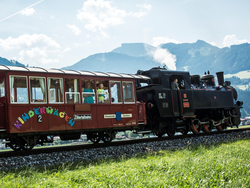mys--Der Dampfzug Zillertalbahn während der Fahrt
