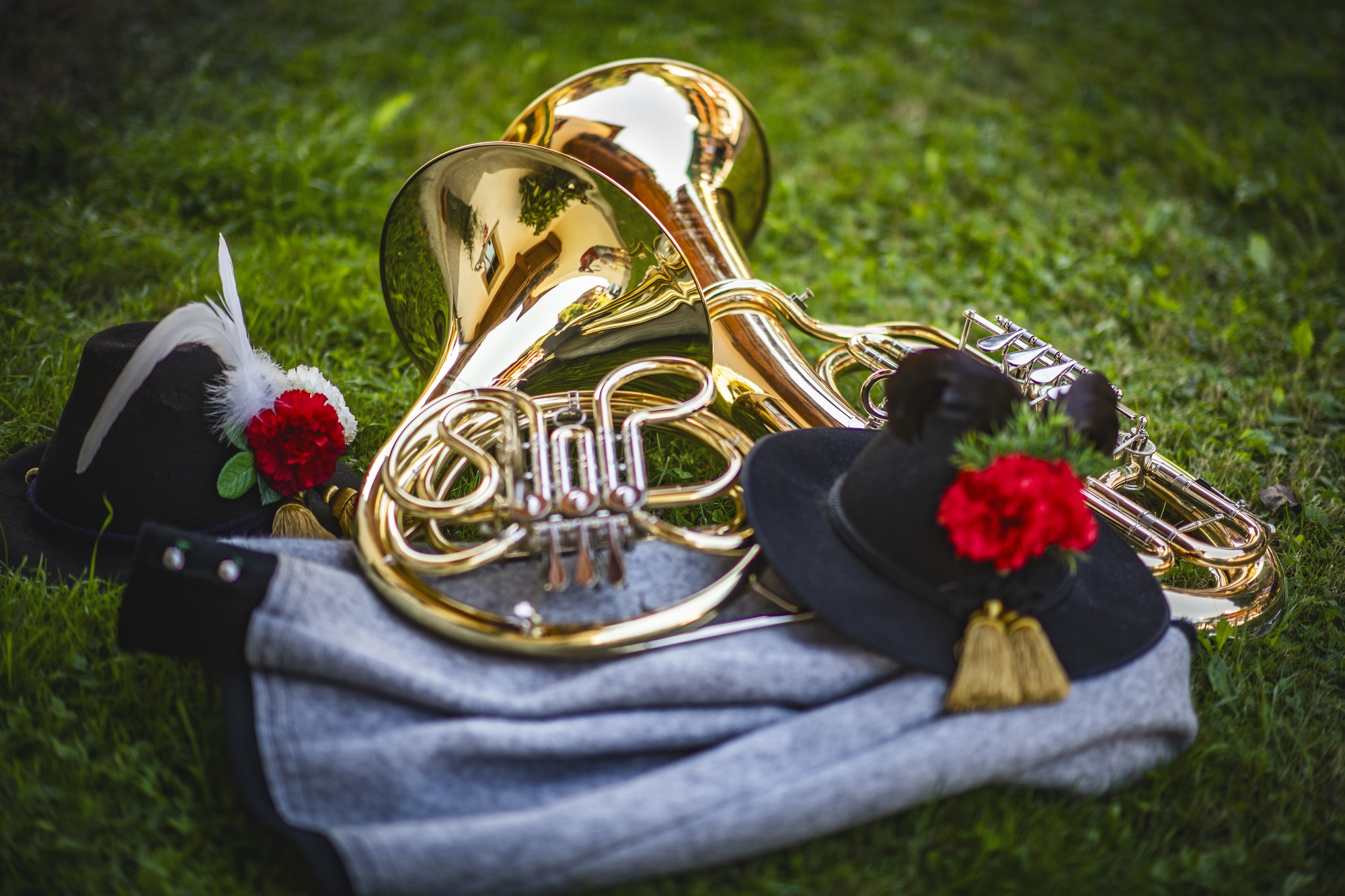 Das Zillertal ist auch bekannt als Tal der Musik. Blasmusikinstrumente in einer Wiese liegend