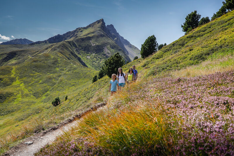 Familienwanderung Spieljoch