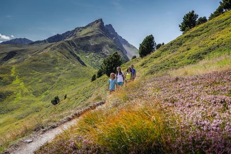 mys-Tourismusverband Erste Ferienregion im Zillertal - Büro Fügen-Spieljoch Wandern