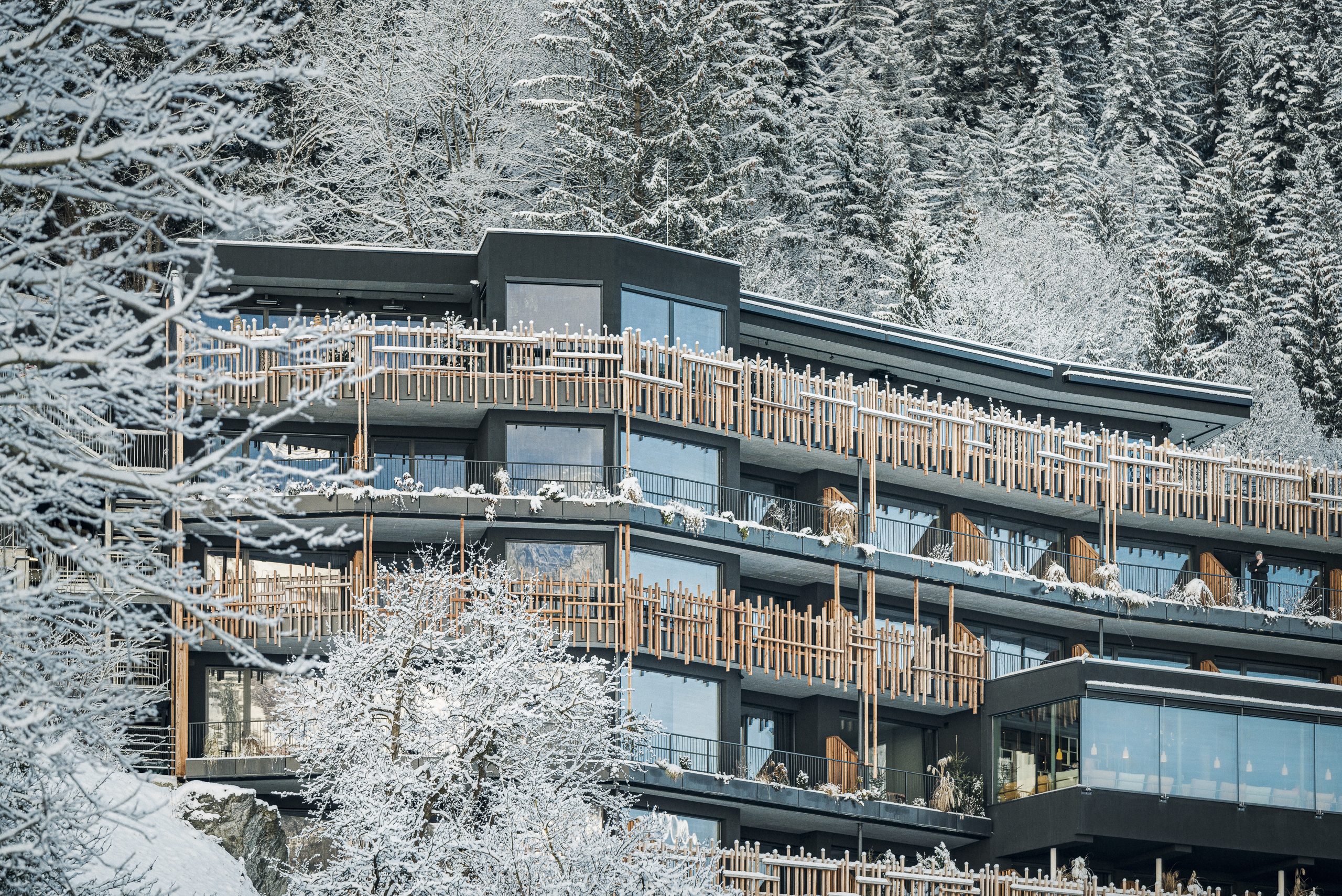 mys-coolnest - BREAKFAST-coolnest