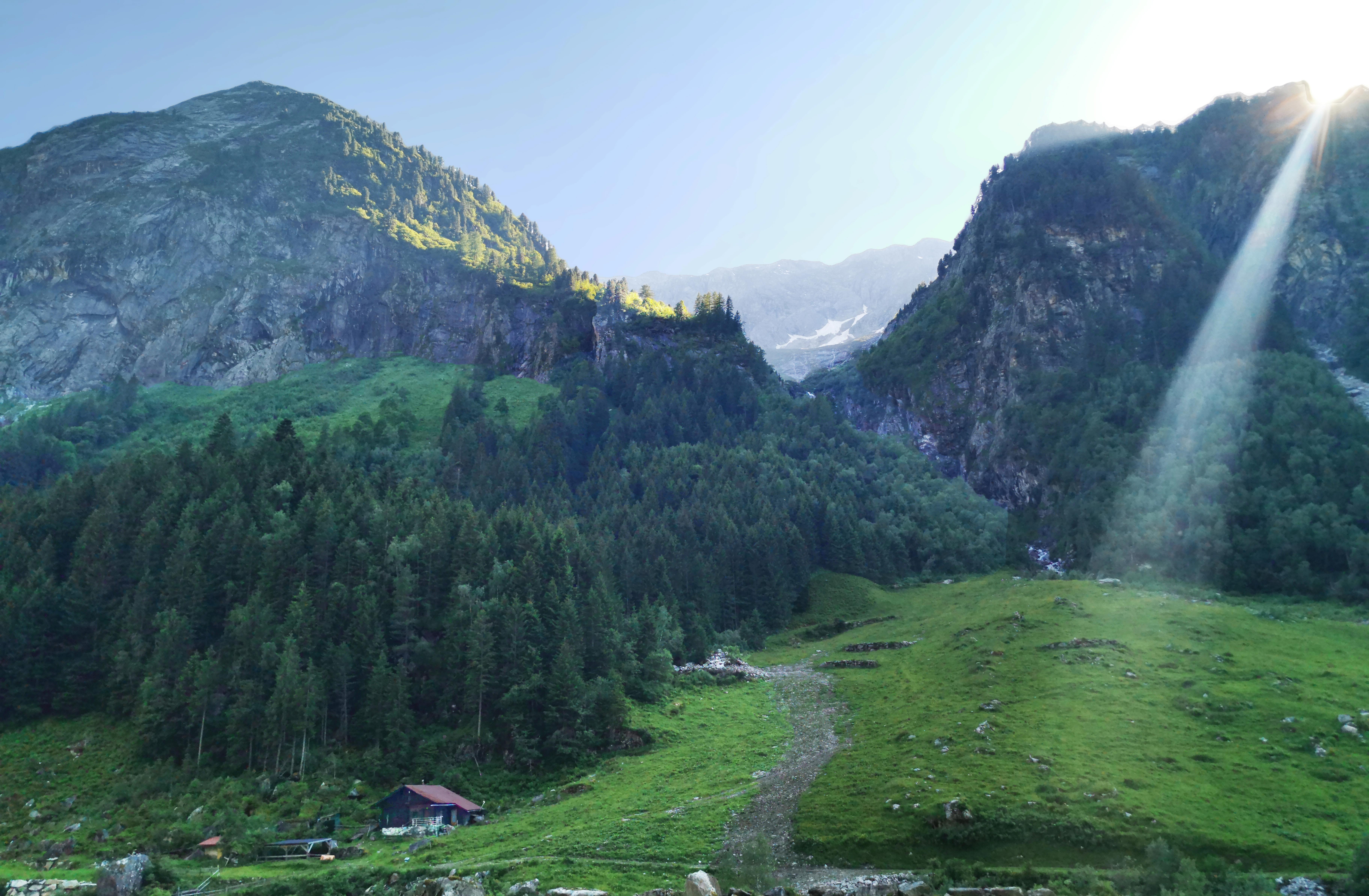 mhf-sommer-schindalm-willi-seifert