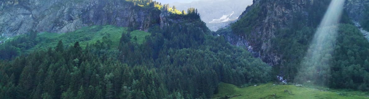 mhf-sommer-schindalm-willi-seifert mhf-sommer-schindalm-willi-seifert