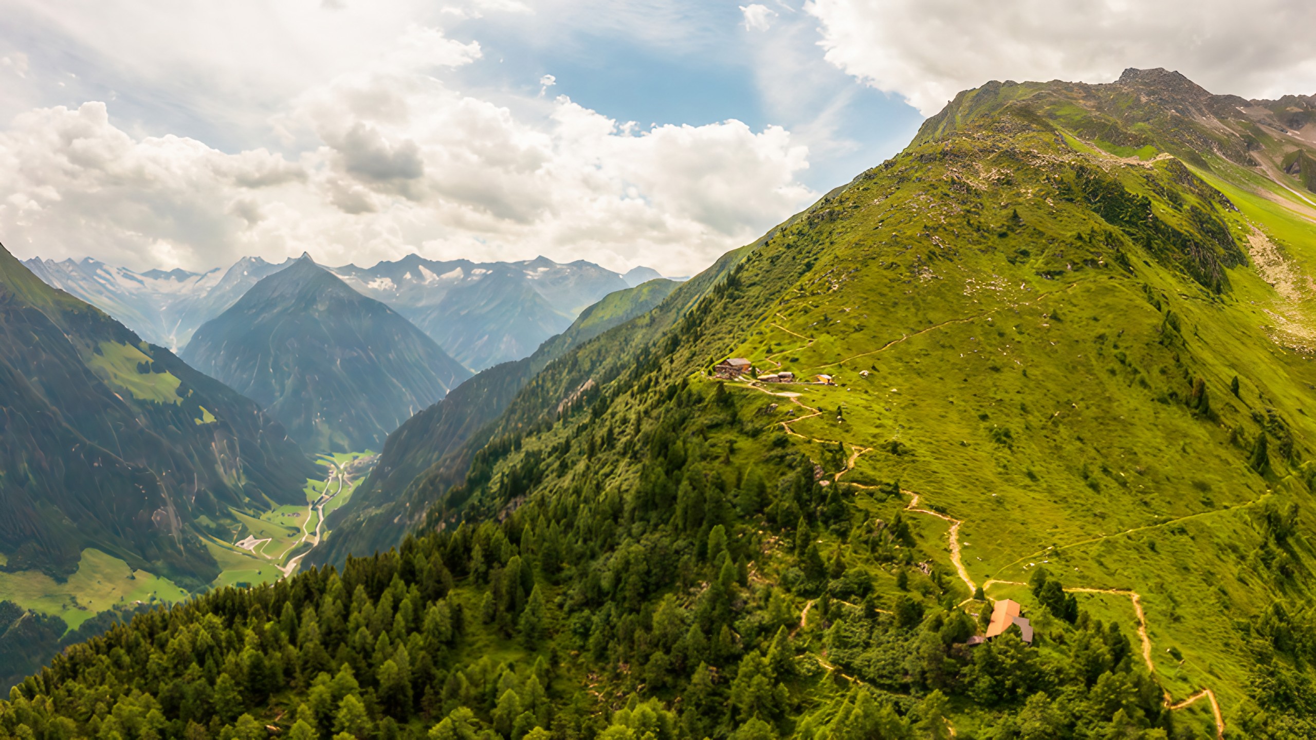 mys-Durch alpinen Urwald zur Gamshütte-Weg zur Gamshütte