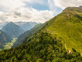 mys-Durch alpinen Urwald zur Gamshütte-Weg zur Gamshütte Durch alpinen Urwald zur Gamshütte