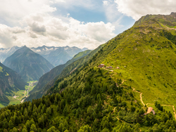 mys-Through the alpine primeval forest to the Gamshütte-Path to the Gamshütte