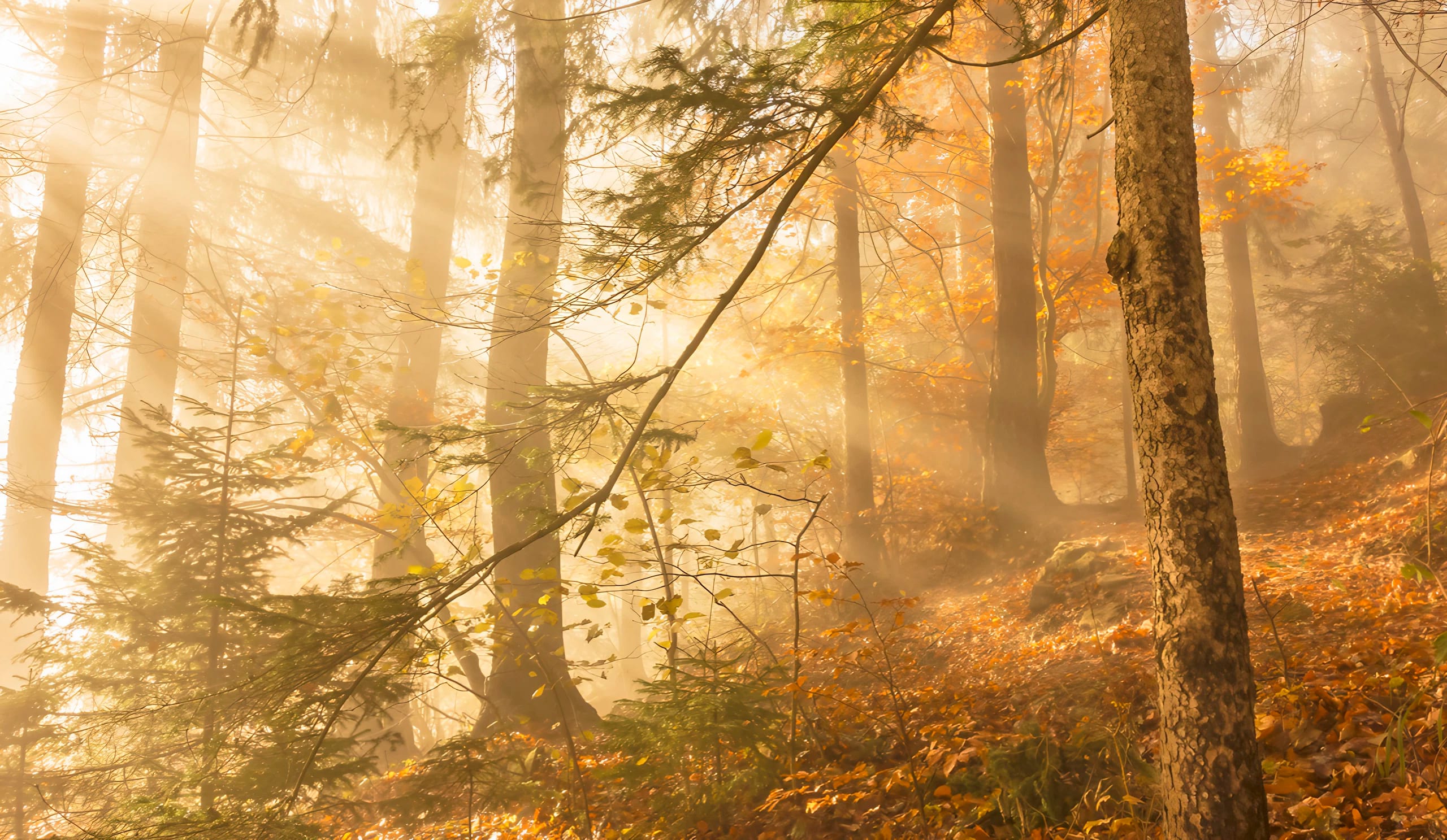 mys-Naturjuwel Glocke-Naturjuwel Glocke