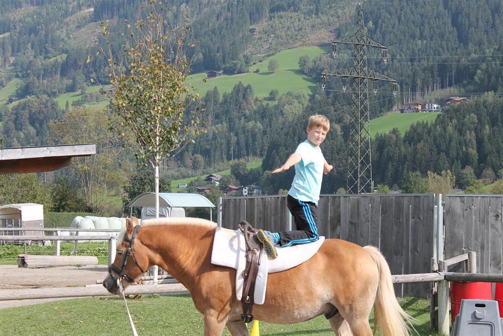 feratel-Fehlehof - IMG_8216