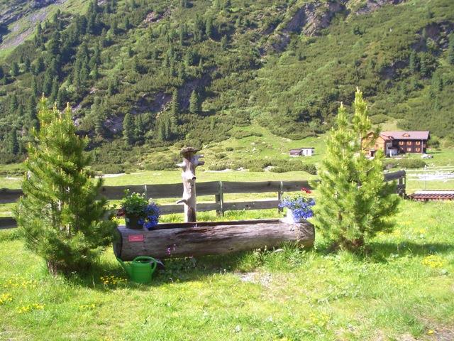 mys-Waxeggalm 1.880m - Zemmgrund-Media Upload