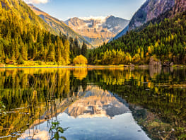 mys-Ins Tal der Wasserfälle-Ins Tal der Wasserfälle Ins Tal der Wasserfälle