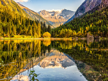 mys-Ins Tal der Wasserfälle-Ins Tal der Wasserfälle Ins Tal der Wasserfälle