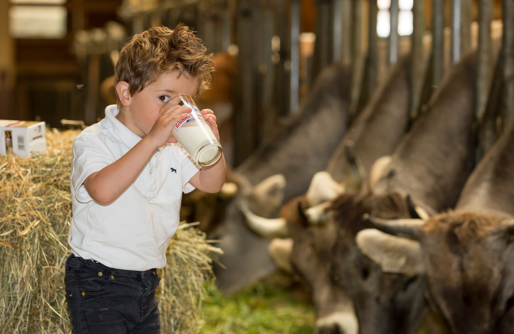 Boy drinks fresh hay milk in the Erlebnissennerei Zillertal