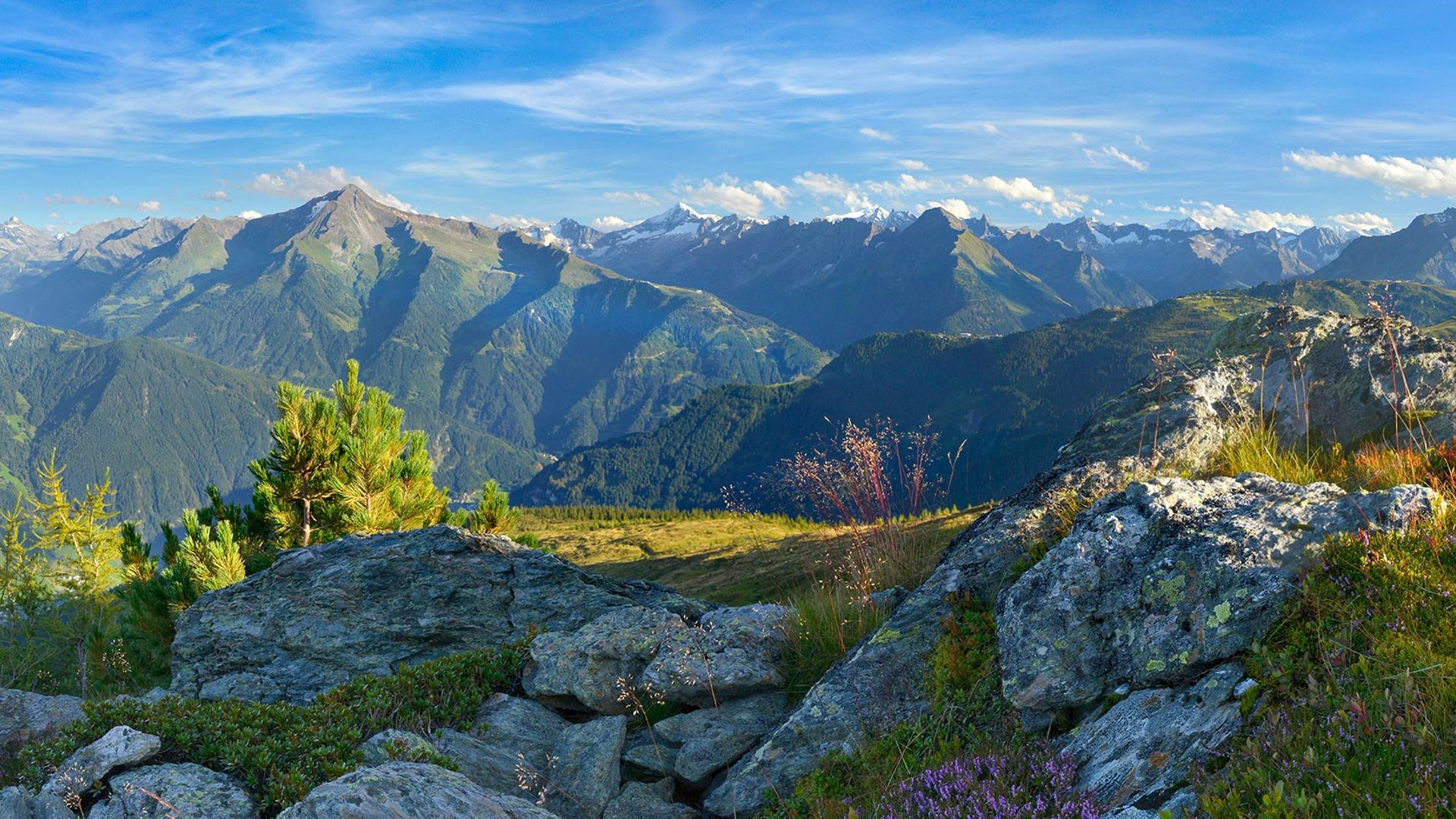 Nutze die Vorteile deiner Gästekarte Panoramablick auf eine sommerliche Berglandschaft: grüne Wiesen, Felsen und einzelne Bäume im Vordergrund, dahinter mächtige Gebirgsketten mit schneebedeckten Gipfeln unter blauem Himmel mit leichten Wolken.