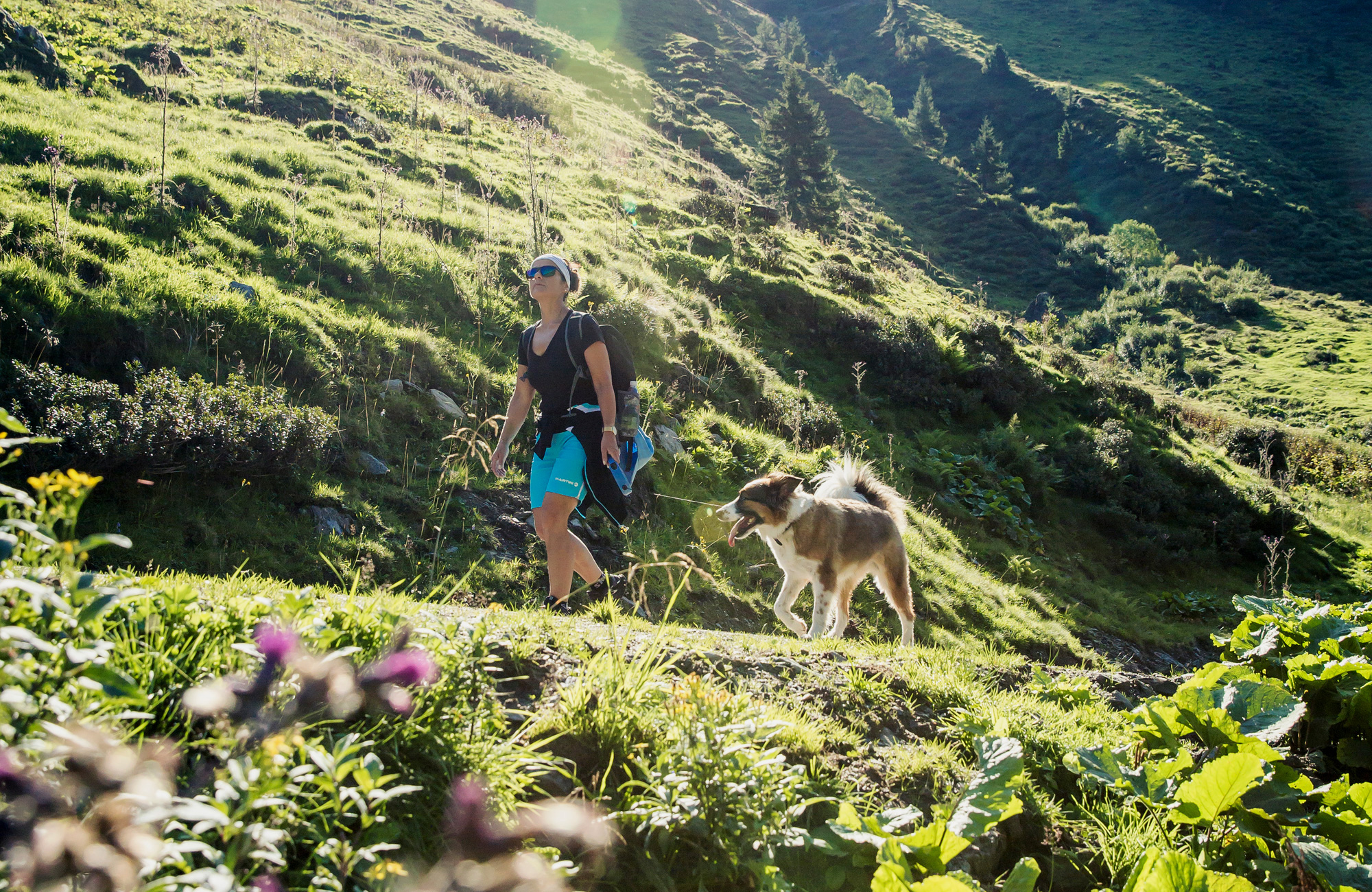 Wanderer mit Hund auf grünem Bergpfad in Mayrhofen im Zillertal. Sonnige Almwiesen, Bergpanorama und entspannte Atmosphäre beim Sommerwandern.
