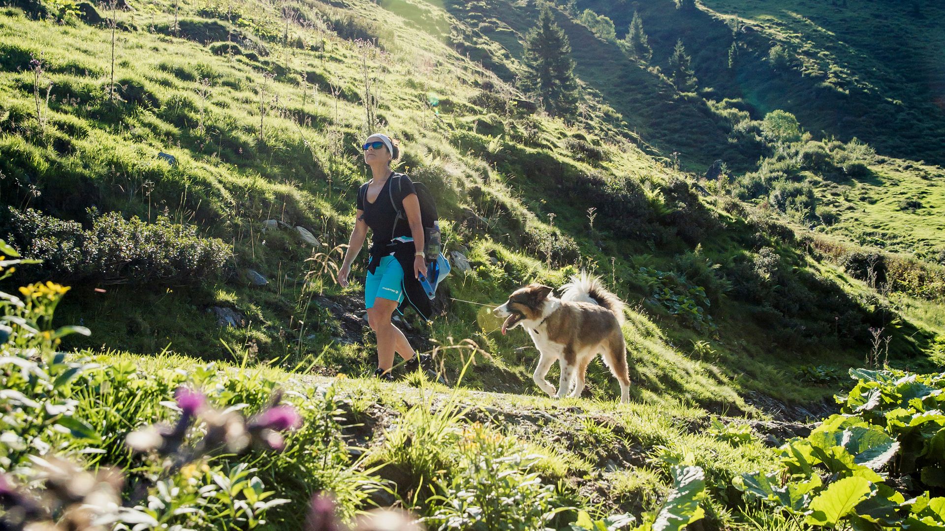Hiker with dog on a green mountain trail in Mayrhofen, Zillertal. Sunny alpine meadows, mountain scenery and a relaxed summer hiking atmosphere.