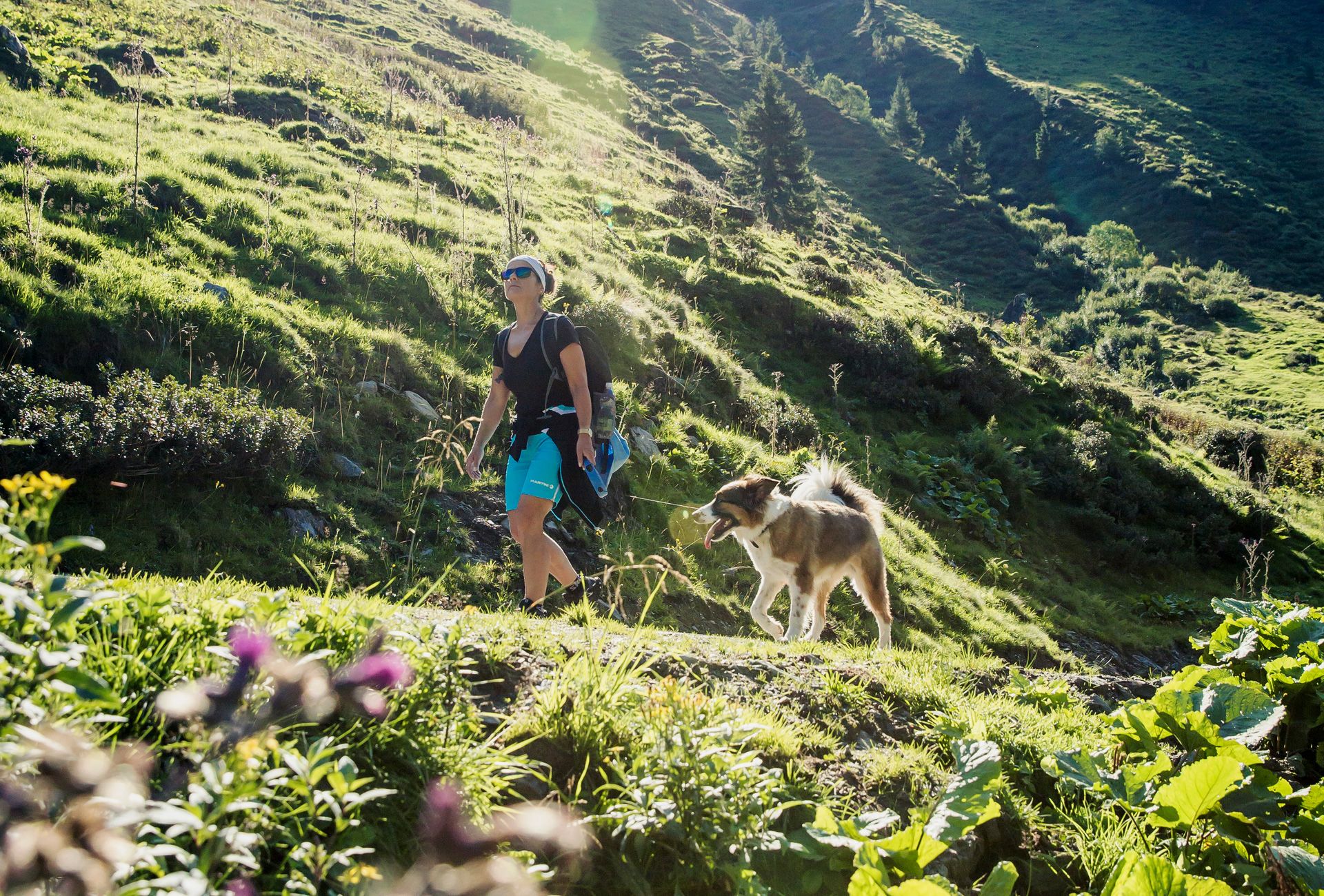 Wanderer mit Hund auf grünem Bergpfad in Mayrhofen im Zillertal. Sonnige Almwiesen, Bergpanorama und entspannte Atmosphäre beim Sommerwandern.