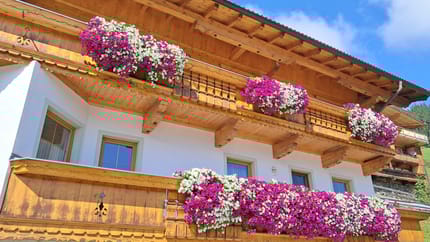 feratel-Haus Martin - Haus Martin