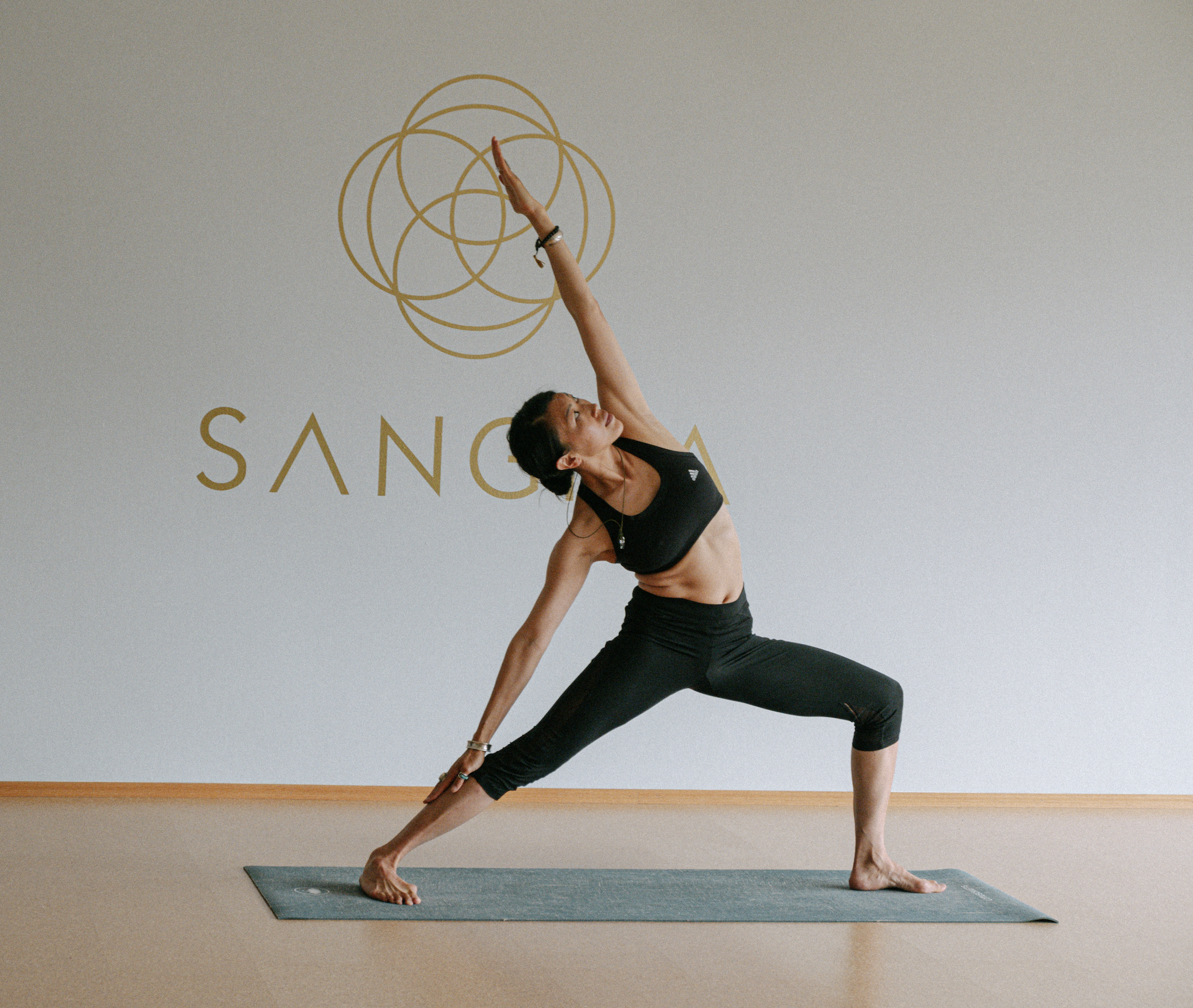 mys-Vinyasa at Sangha Yoga Center Zillertal-Vinyasa (Flow) Yoga