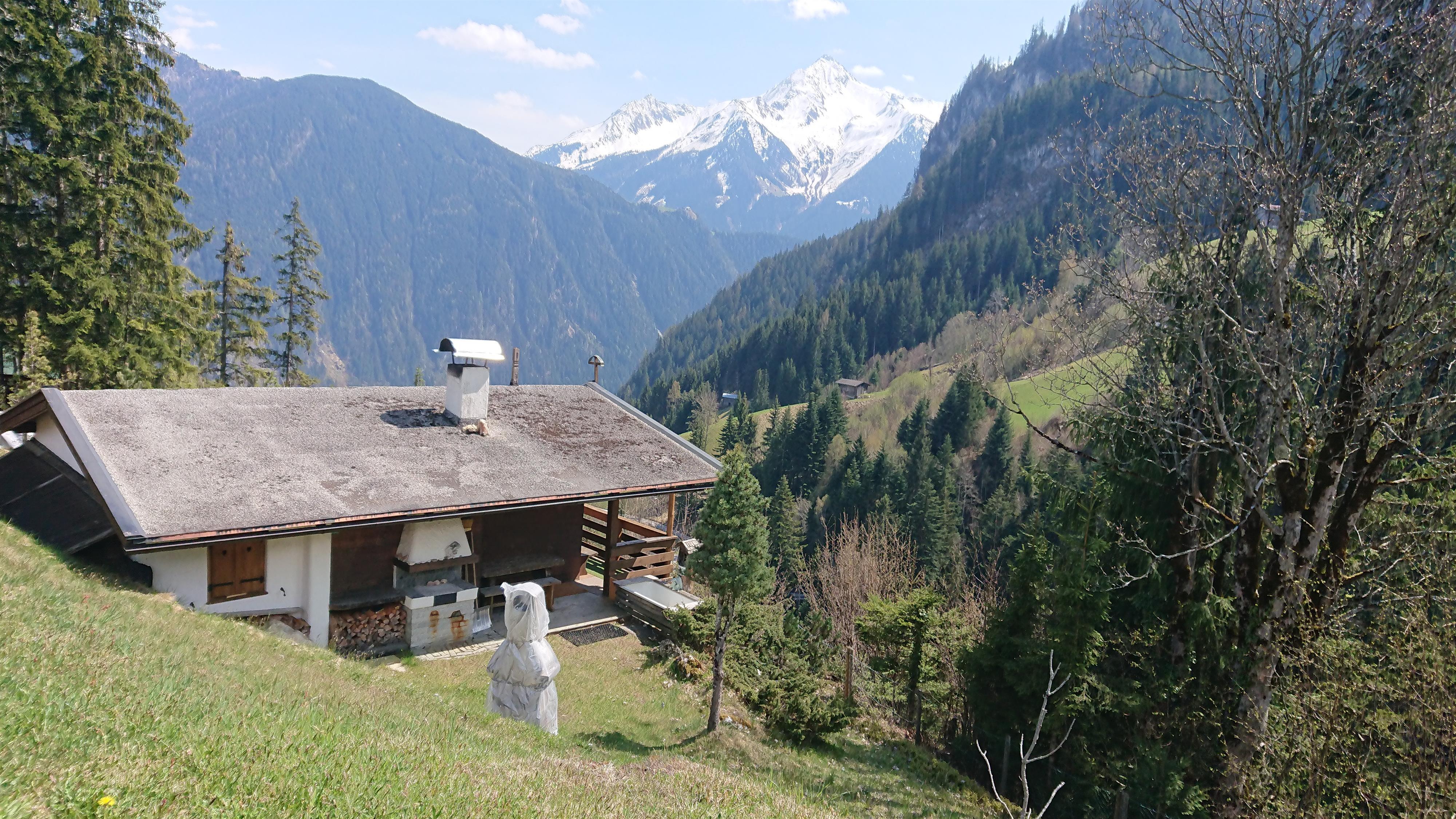 feratel-Schrofenalm - Ansicht Sommer