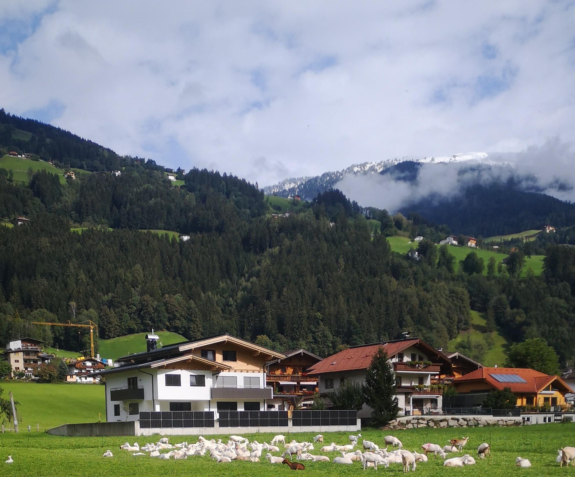 feratel-Appartement Glücksschmiede - Glücksschmiede