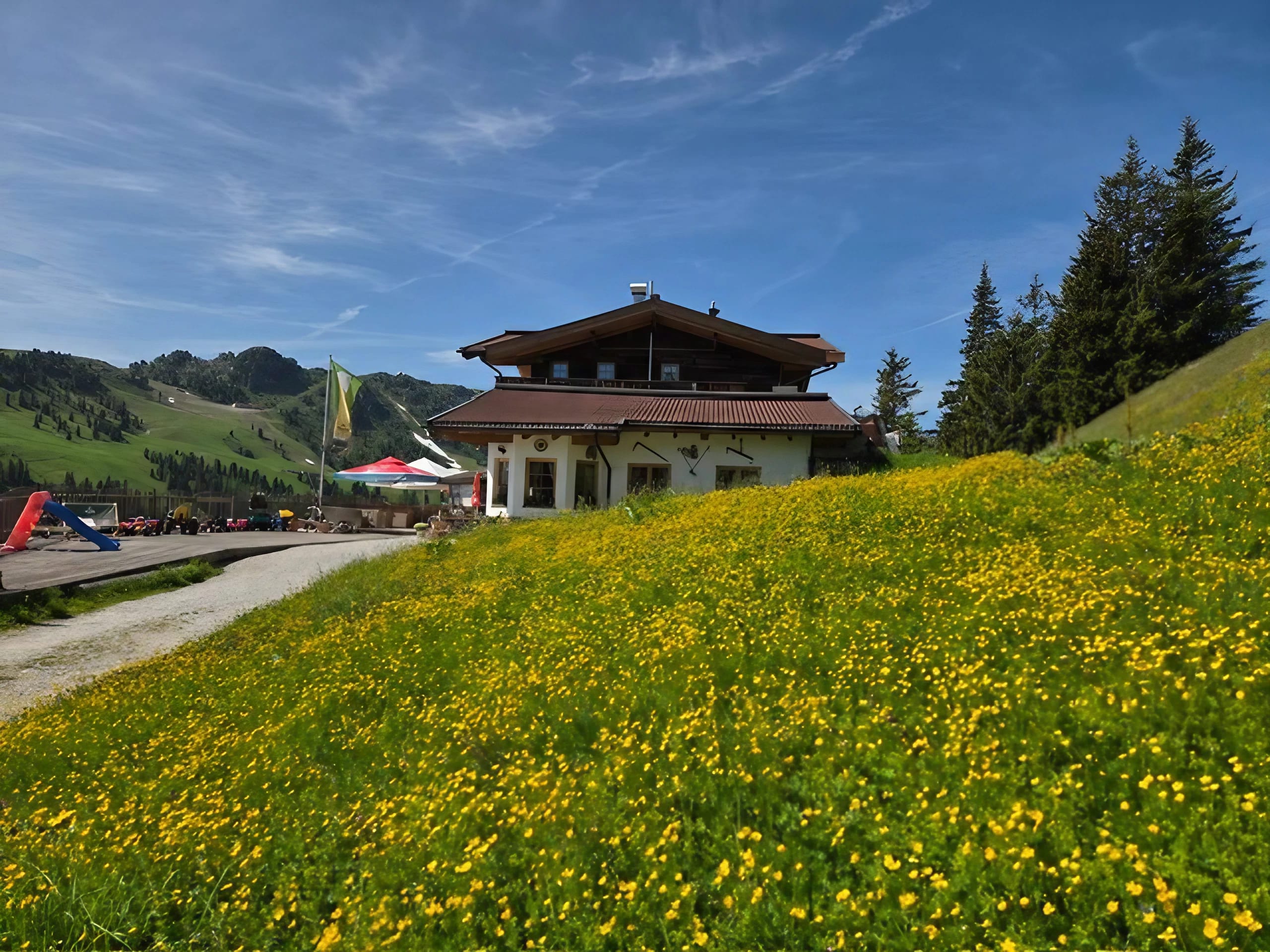 Das Bild zeigt die Schiestls Sunnalm mit einer Blumenwiese im Vordergrund