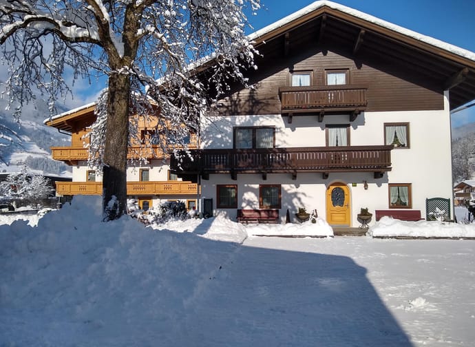 feratel-Haus Traudl - Haus Traudl -Winter