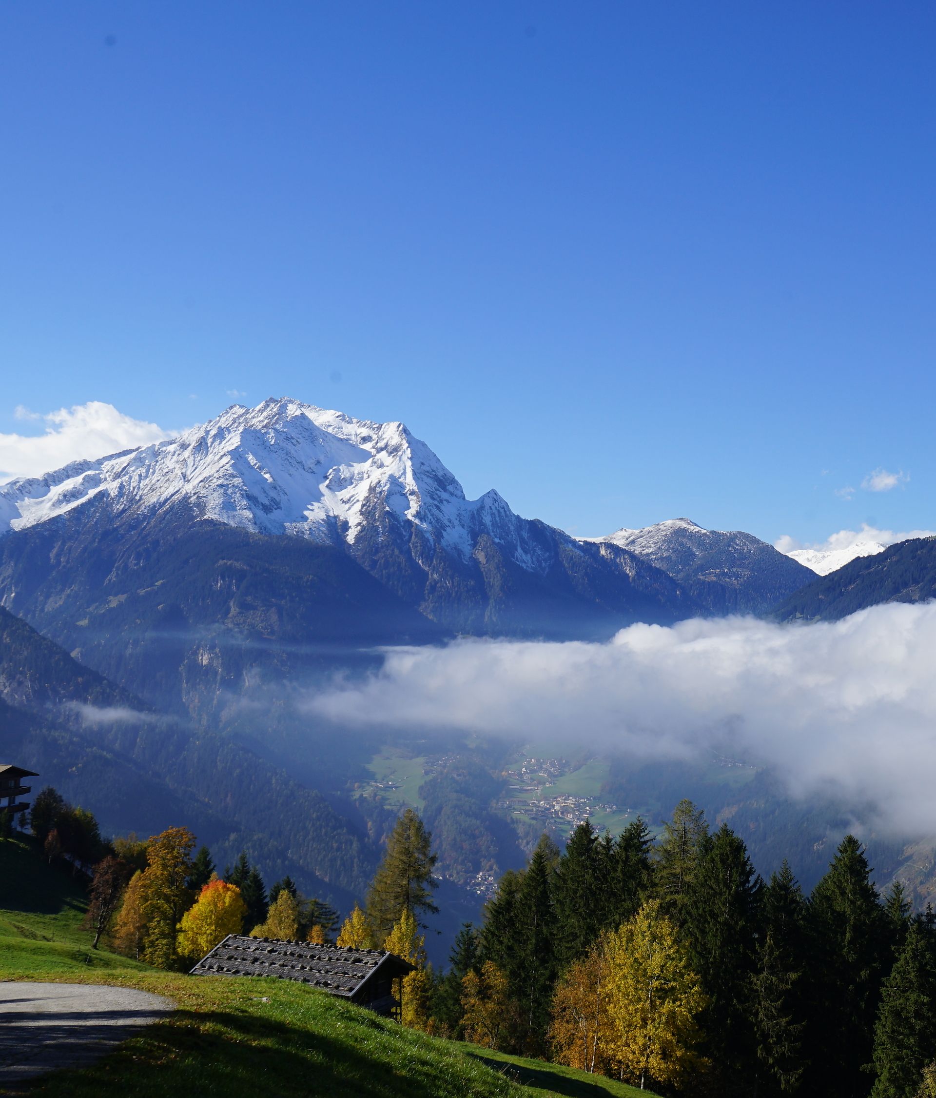 Ein sonniger Herbsttag in den Bergen: grüne Wiesen, bunte Bäume und schneebedeckte Gipfel im Hintergrund. Nebel liegt im Tal, der Himmel ist klar und blau. Eine friedliche, weite Landschaft.