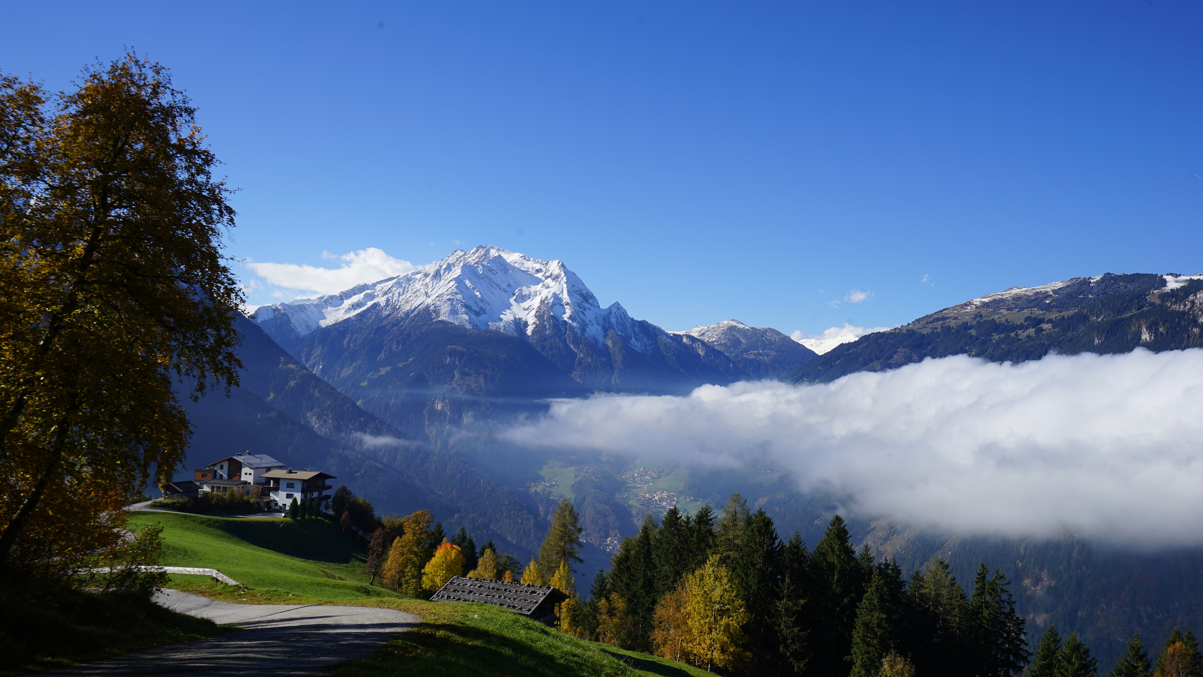 Ein sonniger Herbsttag in den Bergen: grüne Wiesen, bunte Bäume und schneebedeckte Gipfel im Hintergrund. Nebel liegt im Tal, der Himmel ist klar und blau. Eine friedliche, weite Landschaft.