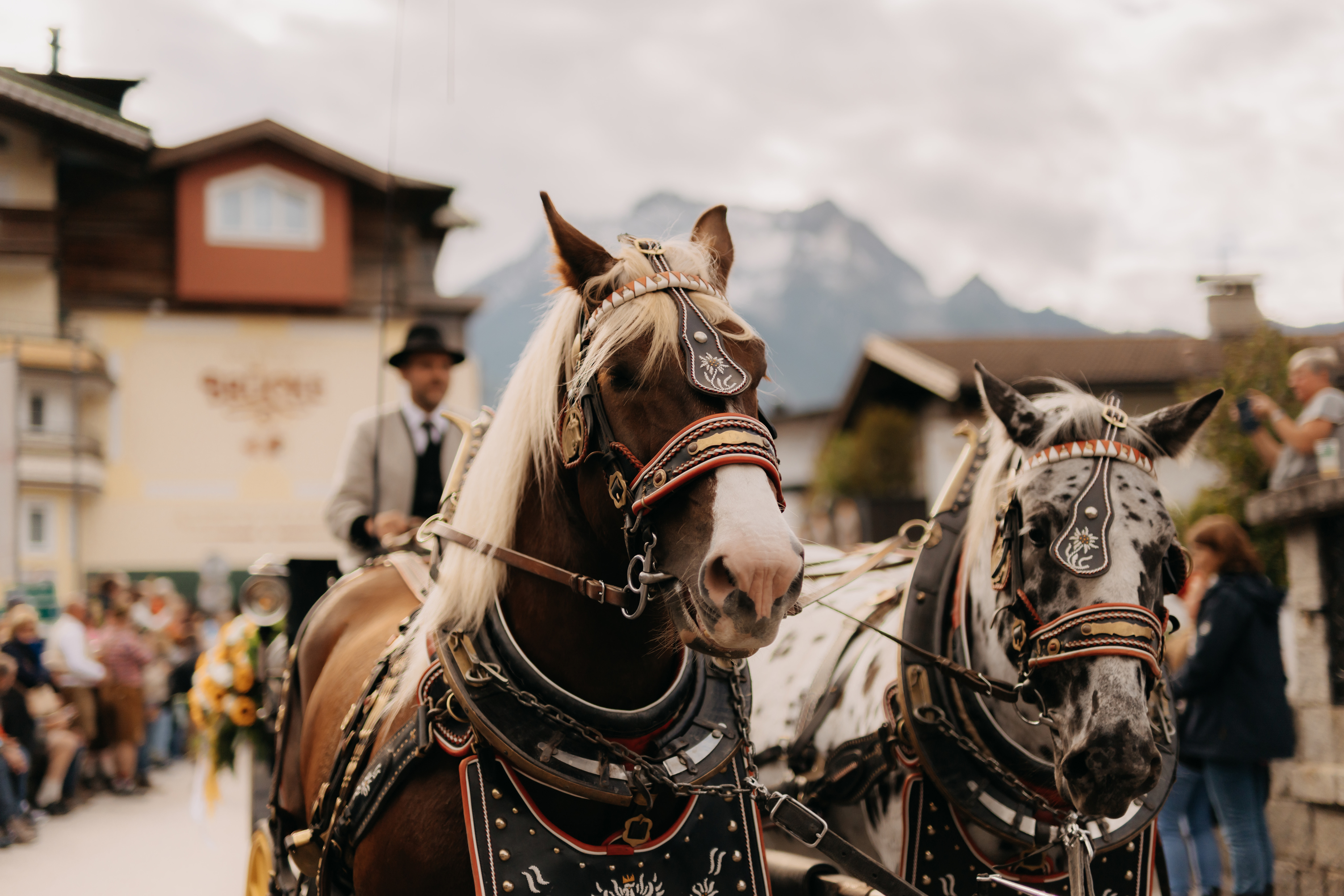 Beim Zillertaler Bauern- und Musikherbst ziehen zwei geschmückte Zugpferde mit traditionellem Lederharngeschirr eine Kutsche, der Kutscher in Tracht mit Hut am Bock, links ein Haus mit Holzbalustraden, dahinter ein felsiger Berggipfel in Wolken.