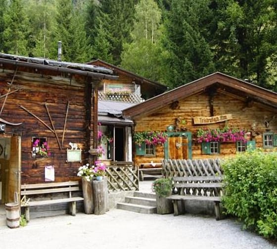 mys-Tristenbachalm 1.000m - Ginzling-Tristenbachalm