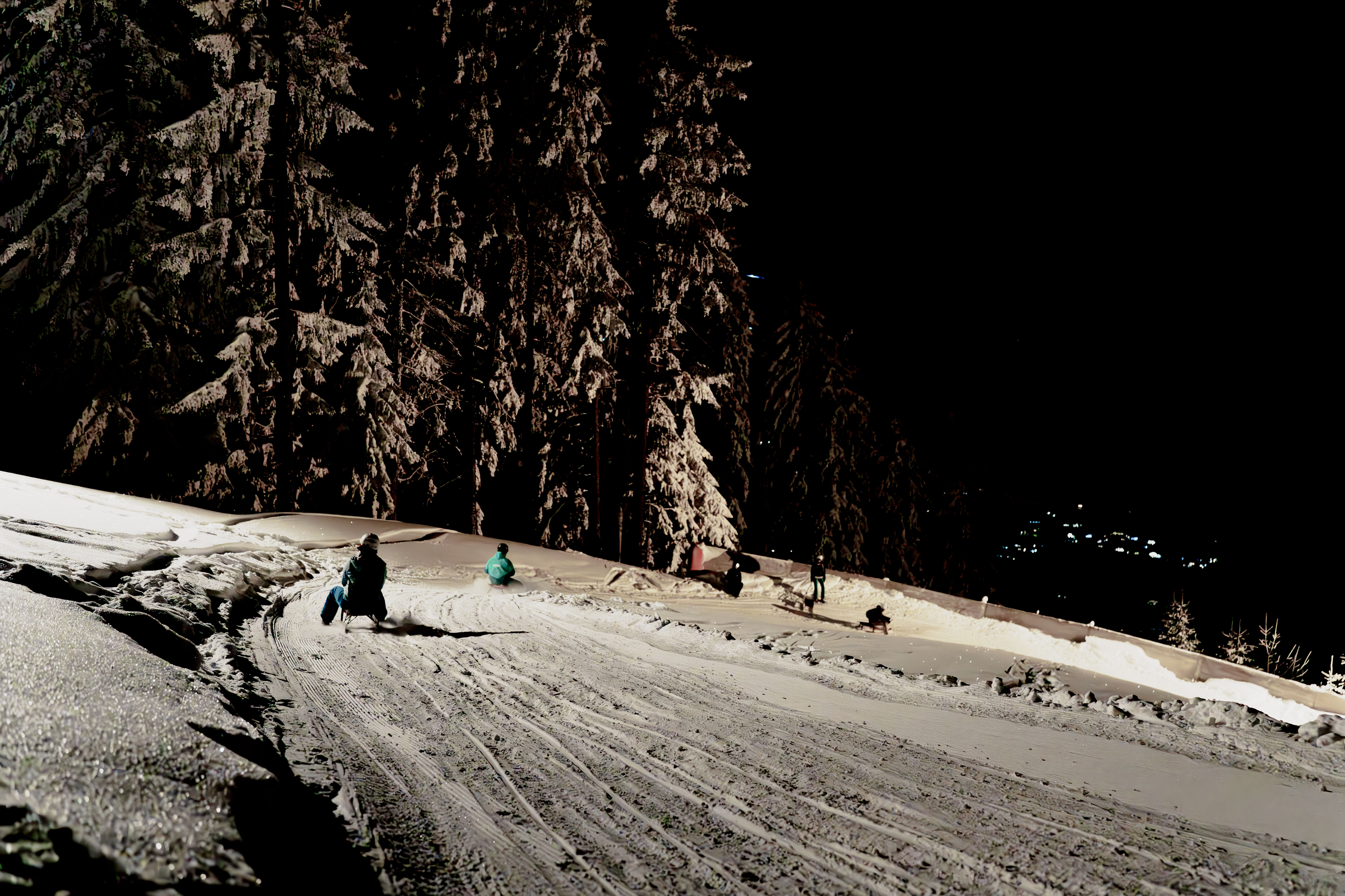 mys-Single ticket tobbogan run Gerlosstein evening-Abendrodeln Gerlosstein